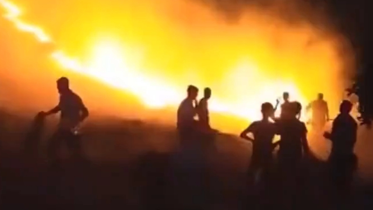 Yangın faciasının ardından: Mardin'de bir orman yangını daha
