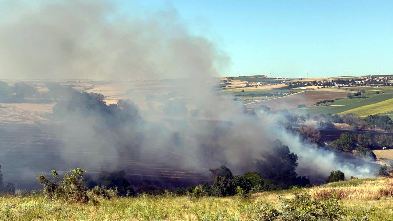 Tekirdağ'da yangında 200 dekar tarım alanı zarar gördü
