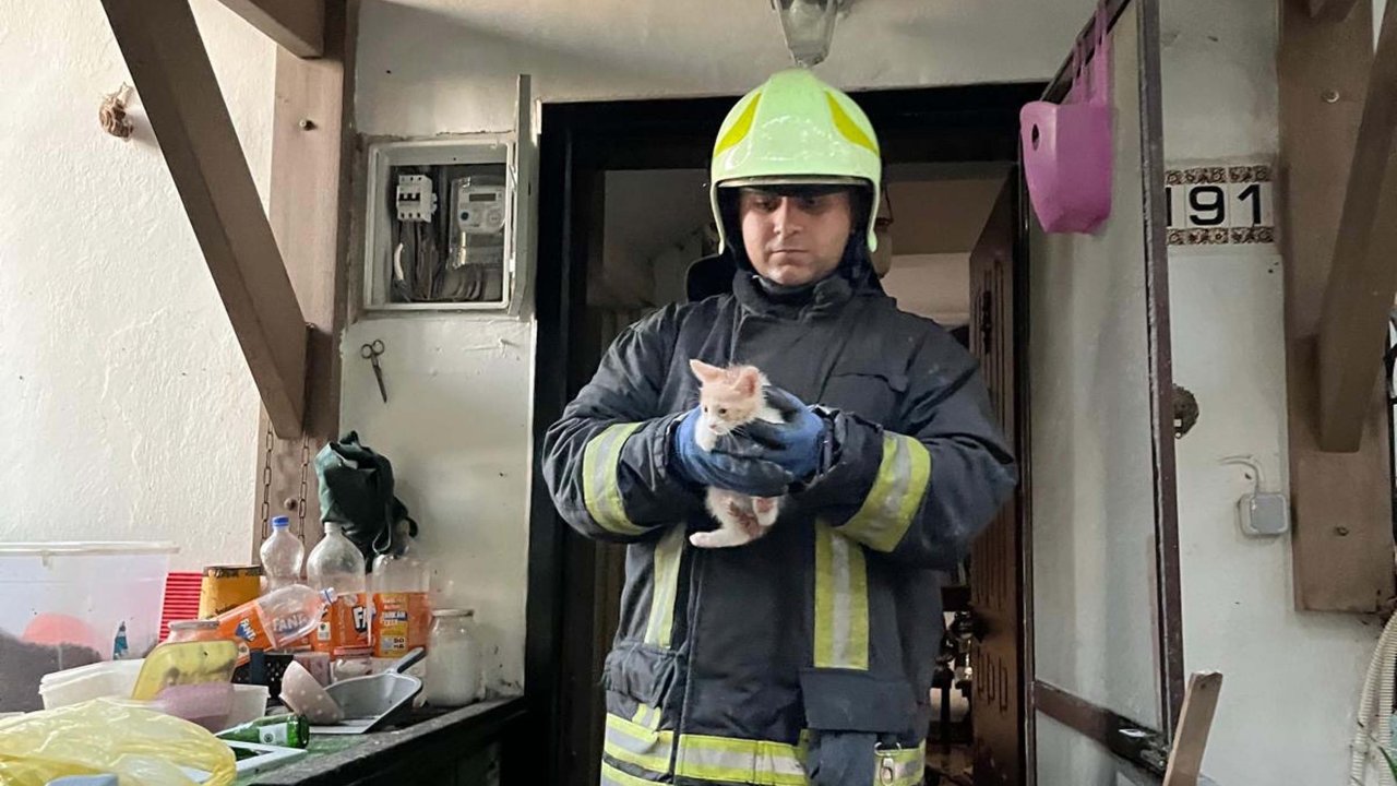 Villada çıkan yangında itfaiye kedileri kurtardı