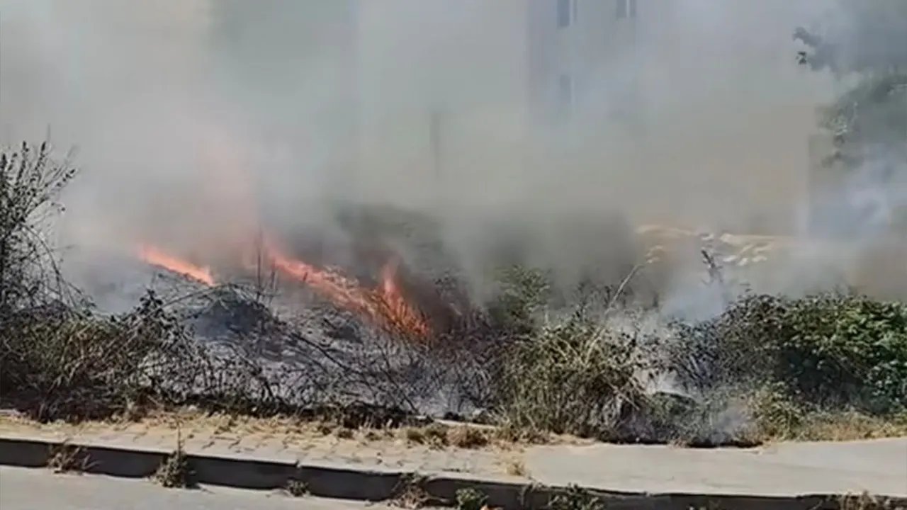 İstanbul'daki boş arazide yangın çıktı, olay yerine itfaiye ekipleri sevk edildi