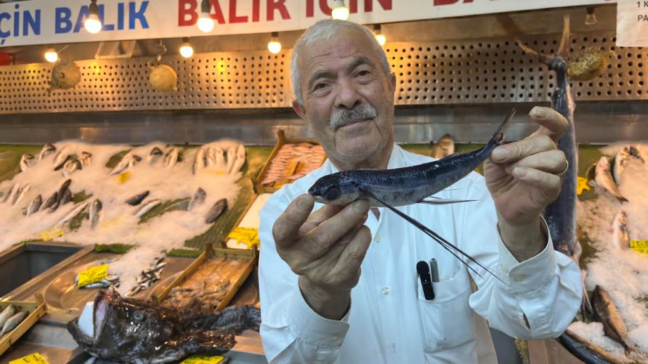Marmara Denizi'nde uçan balık yakalandı!