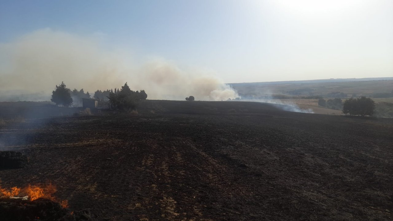 İstanbul'da tarım arazisinde yangın: Kısa sürede geniş alana yayıldı