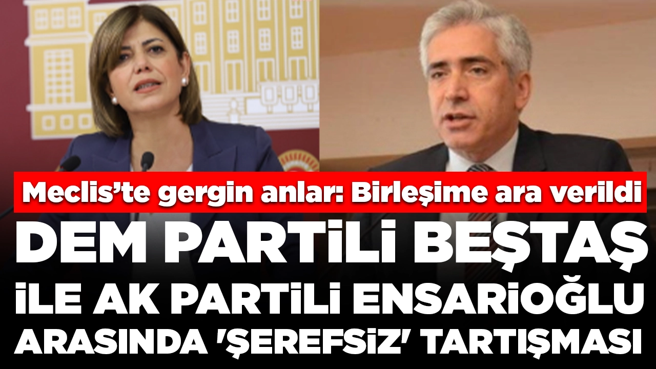 Meclis'te tansiyon yükseldi: DEM Partili Beştaş ile AK Partili Ensarioğlu arasında 'şerefsiz' tartışması