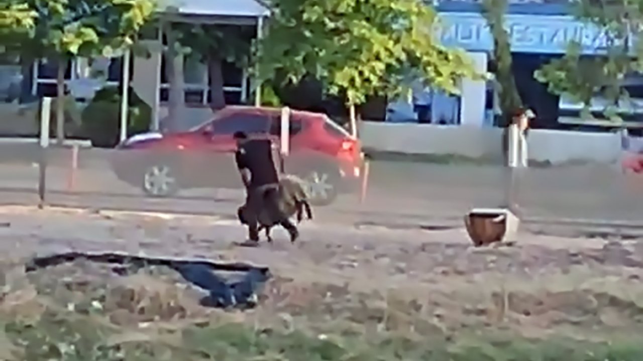 Hayvana eziyet kamerada: Koyunu tekmeleyip, havaya kaldırarak yere vurdu