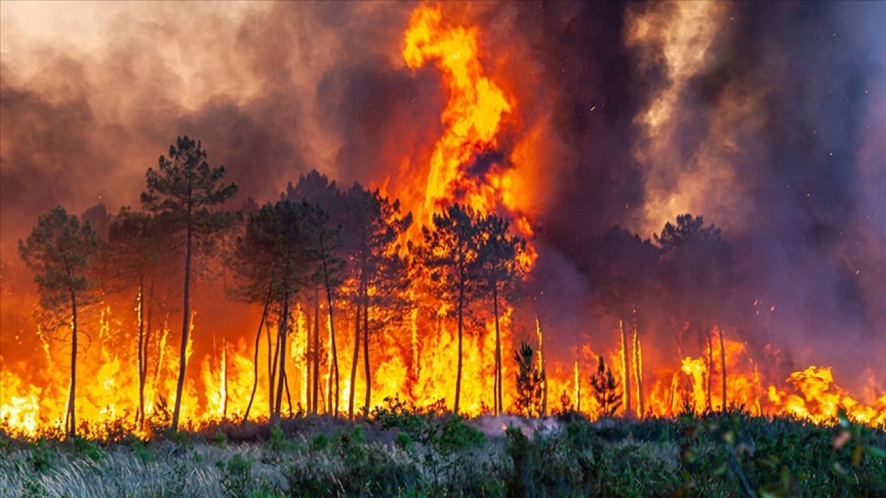 AKOM'dan vatandaşlara orman yangını uyarısı!