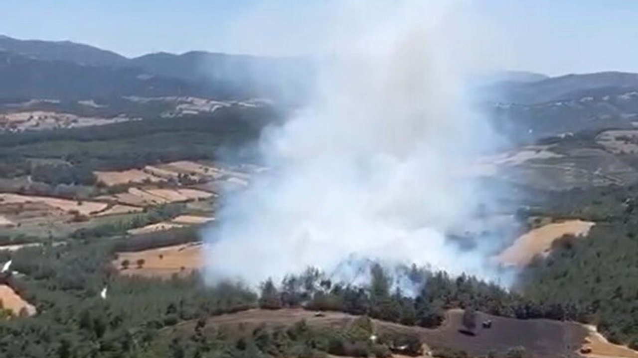 Balıkesir'de arazi yangını! Alevler ormana sıçradı