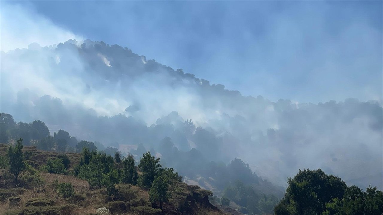 Adıyaman'da çıkan örtü yangınlarında 14 hektarlık alan zarar gördü