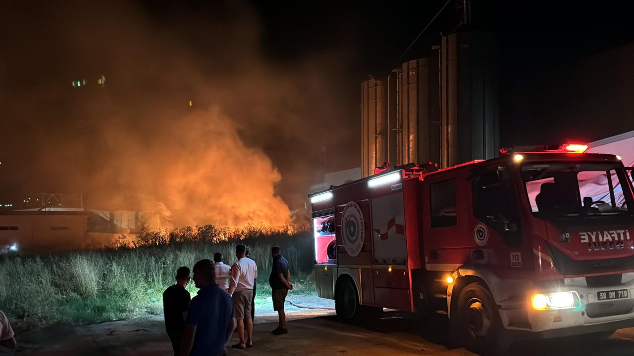 Tekirdağ’da fabrikalar bölgesinde trafo patladı, otluk yangını çıktı