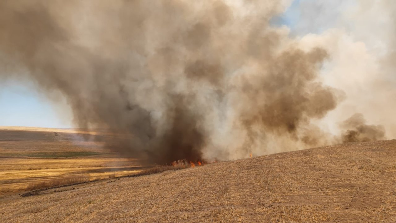 Diyarbakır’da anız yangını: Yüzlerce dönüm alan kül oldu