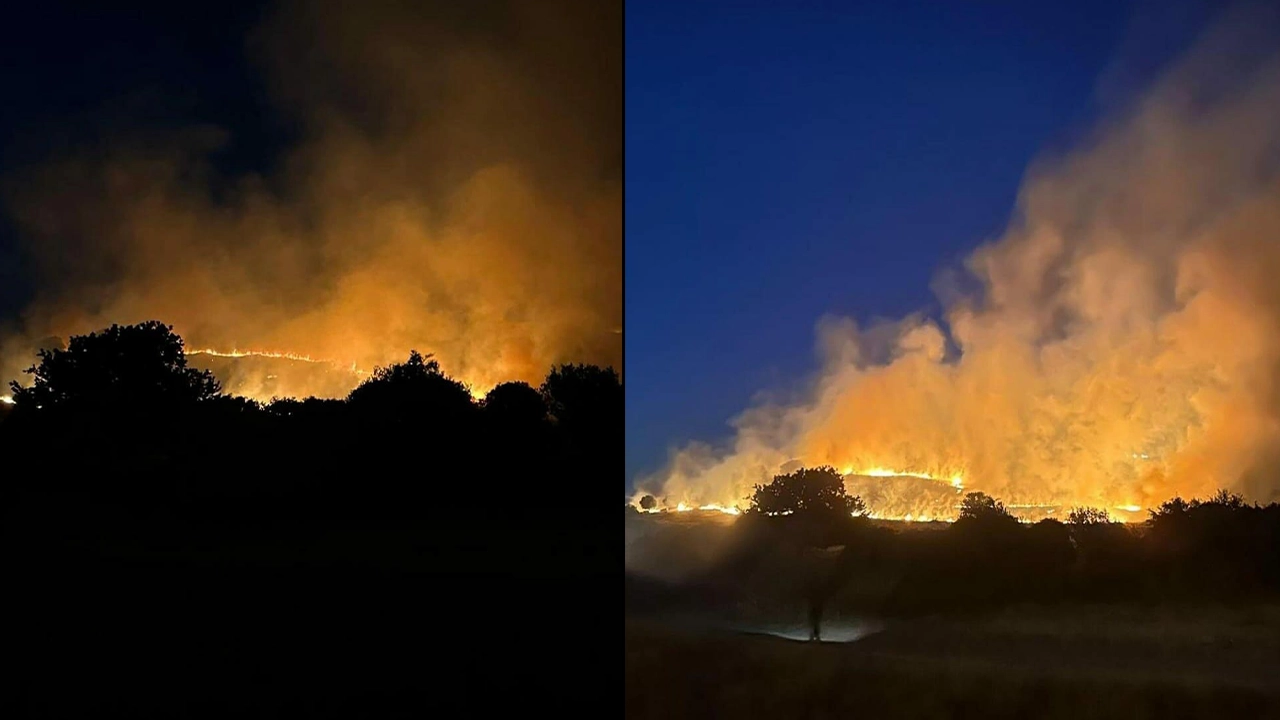 İzmir'de orman yangını: 30 dönüm alan kül oldu