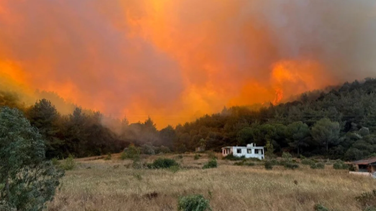 İzmir'in 5 ilçesinde orman yangını: Evler, oteller boşaltıldı, müdahale sürüyor