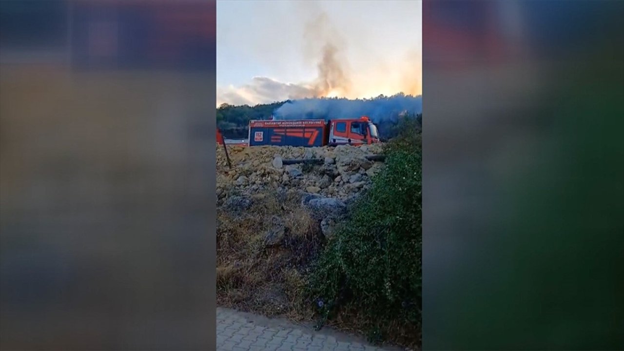 Gaziantep Islahiye'de çıkan ormanlık ve makilik alandaki yangın söndürüldü