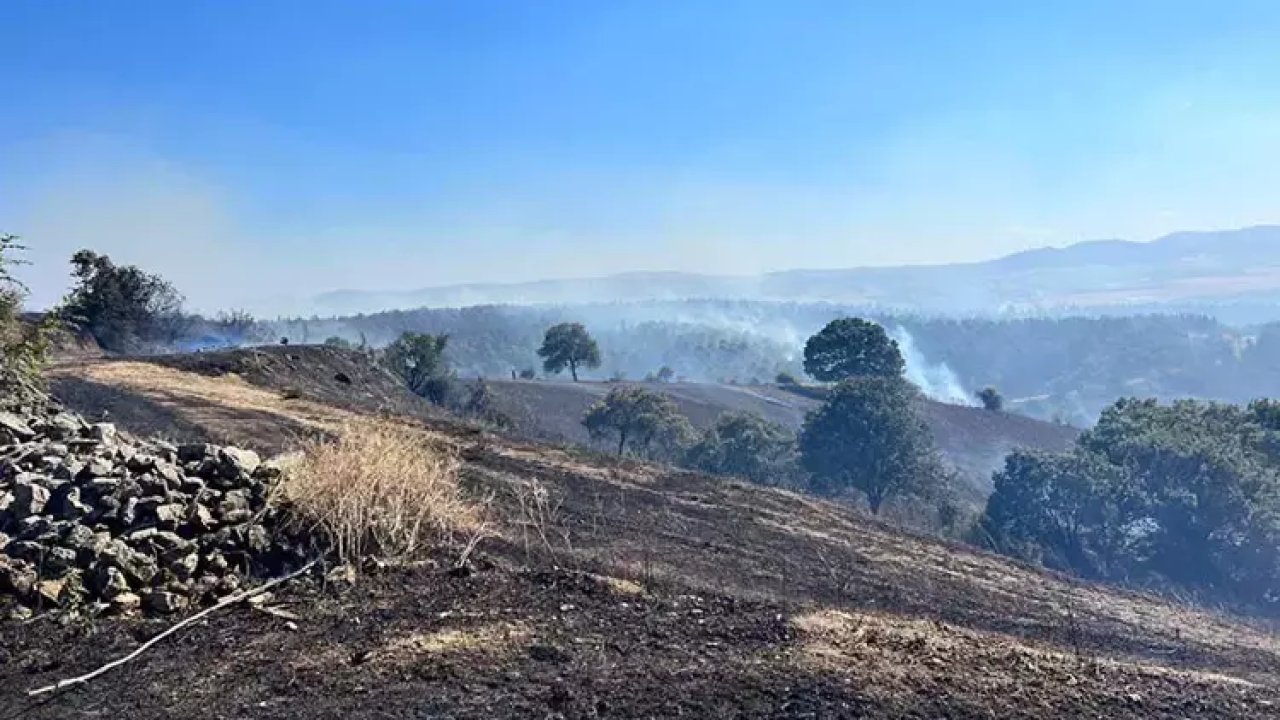 Balıkesir’deki orman yangını, 13 saatin sonunda kontrol altına alındı