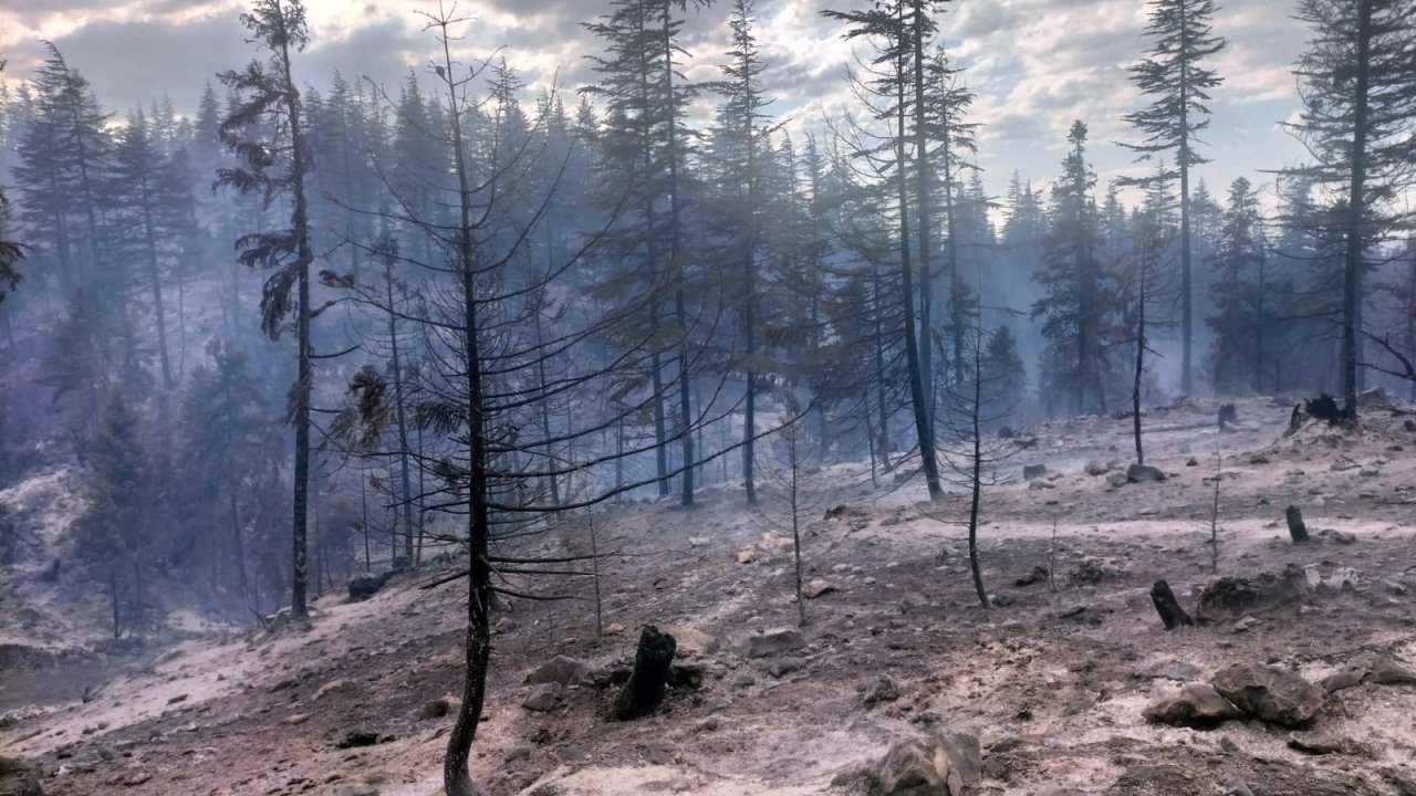 Karaman'daki orman yangını kontrol altına alındı