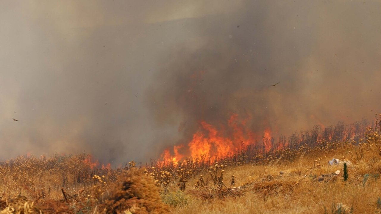 Balıkesir'de sazlık yangını; 10 hektar alan zarar gördü