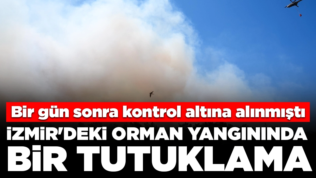 Bir gün sonra kontrol altına alınmıştı: İzmir'deki orman yangında bir tutuklama