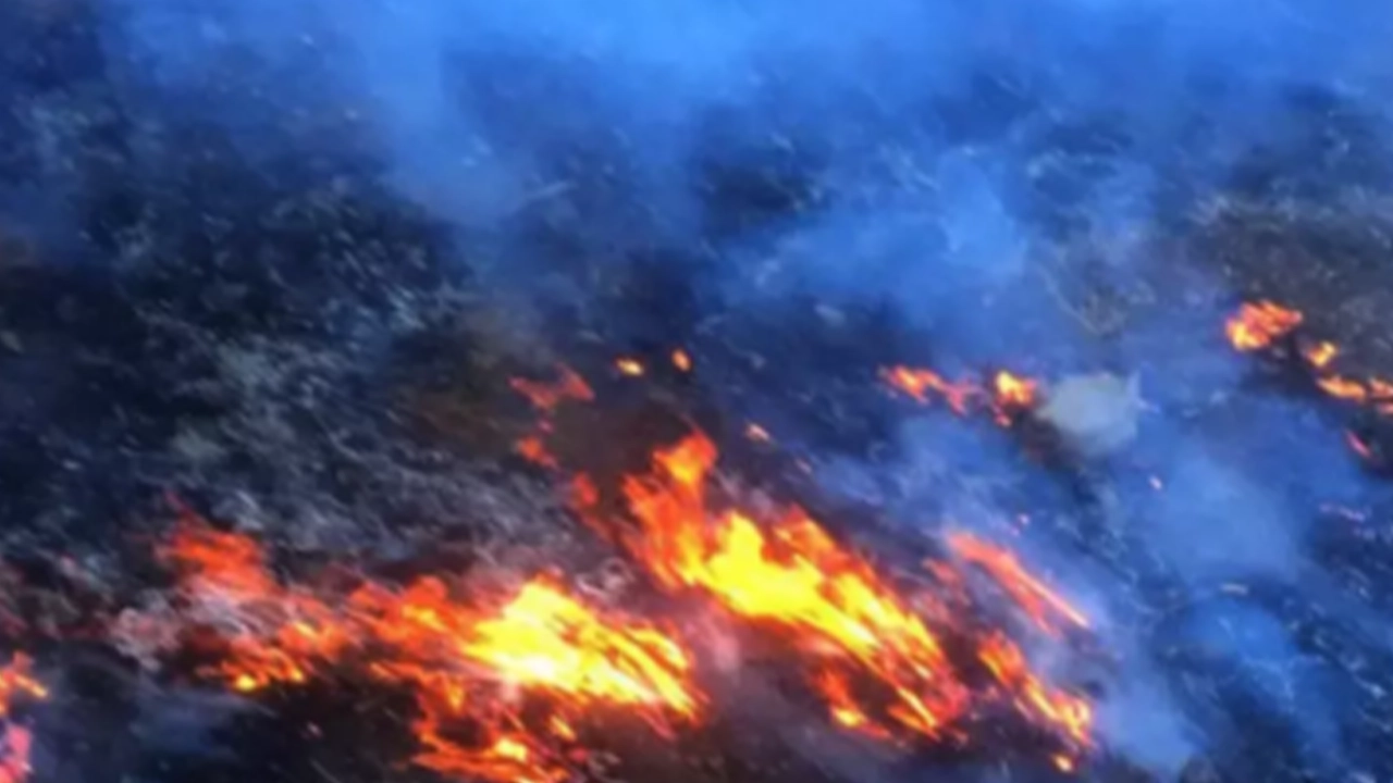 Gaziantep’te örtü yangını: 2 dönümlük alan kül oldu