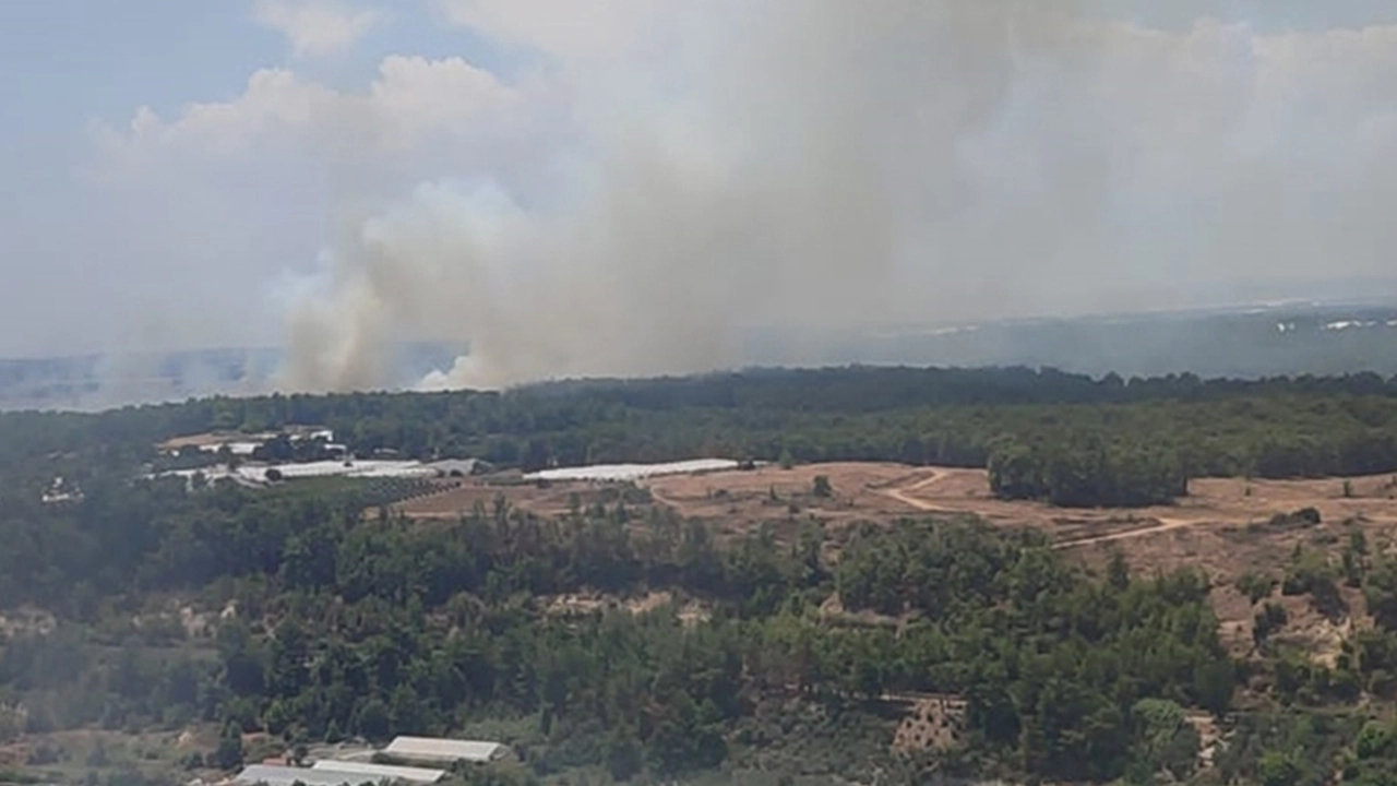 Antalya'da orman yangını: Havadan ve karadan müdahale