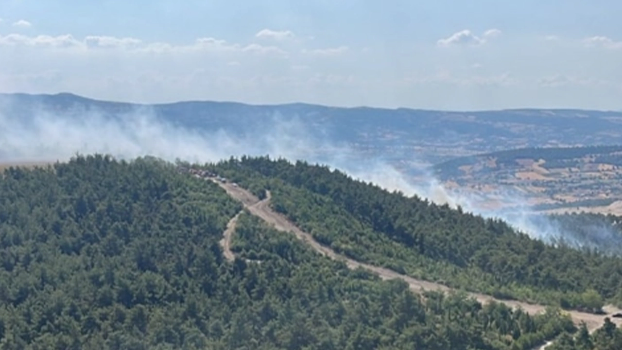 Balıkesir'de iki ilçede orman yangını: Alevlere müdahale ediliyor