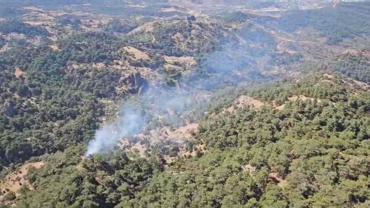 İzmir'de orman yangını: Alevlere havadan ve karadan müdahale edildi