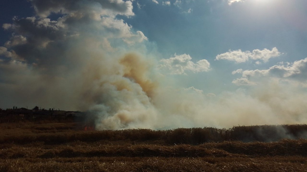 Silivri'de buğday tarlasında yangın: Alevler kısa sürede büyüdü, çok sayıda ekip sevk edidi