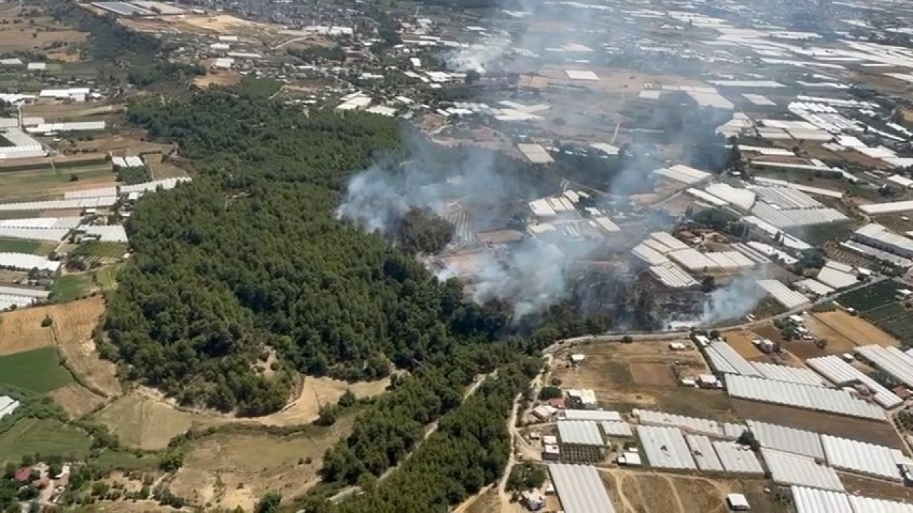 Antalya'da 4 hektarlık ormanlık alan yandı