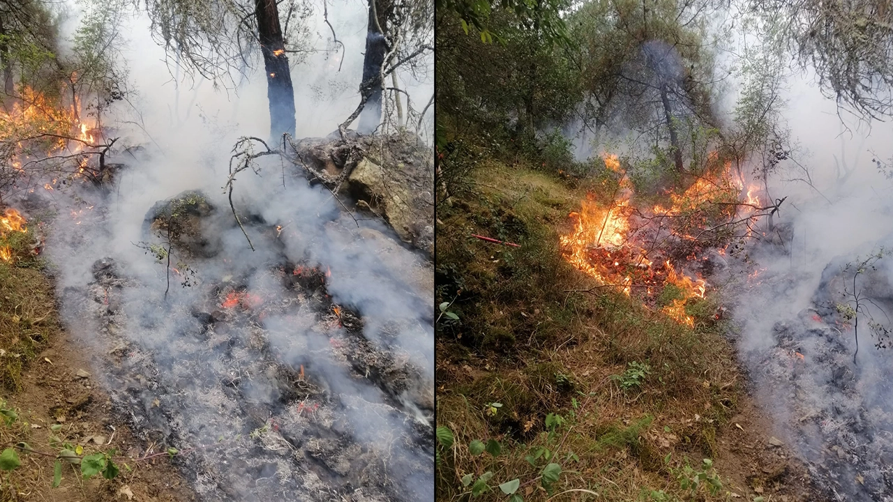 Karabük’te ormana yıldırım düştü, yangın çıktı: Müdahale ediliyor