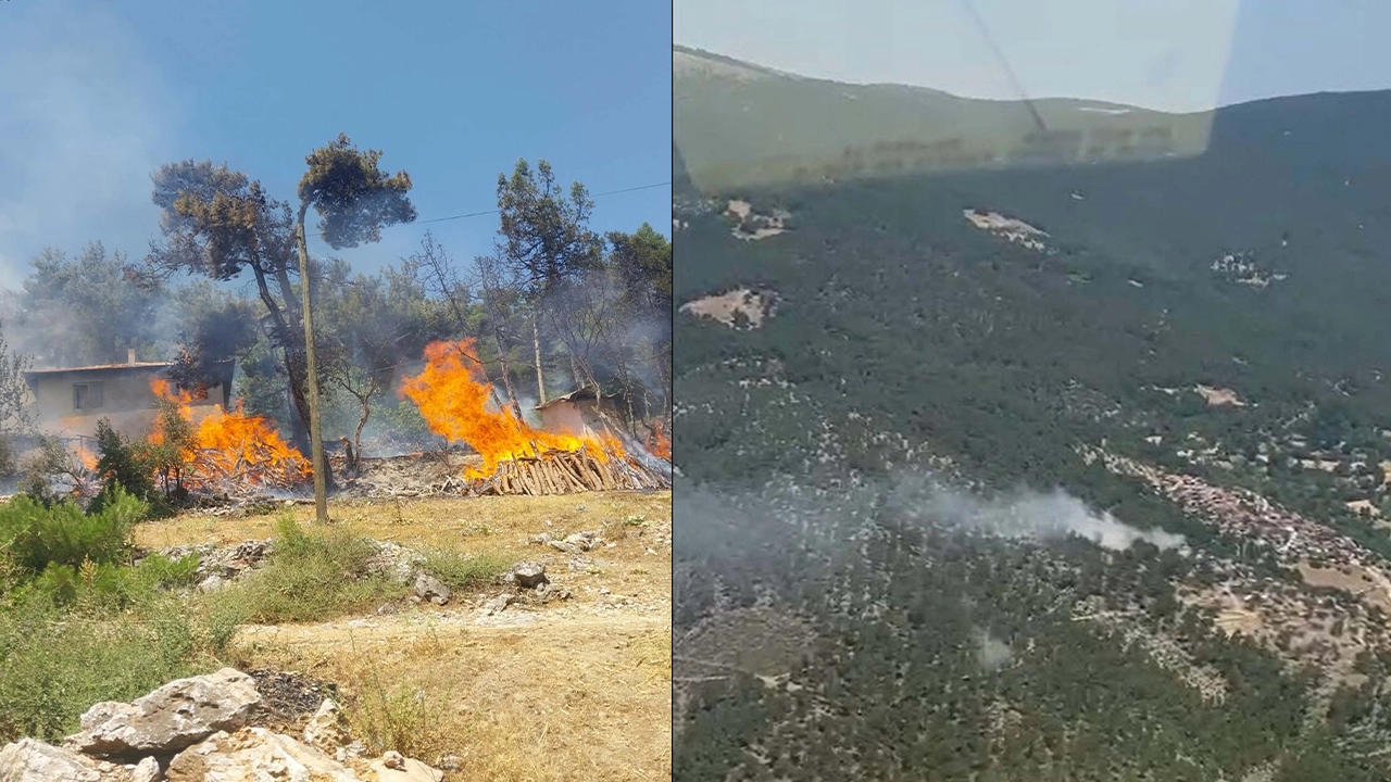 Balıkesir'de orman yangını: Alevlere müdahale ediliyor