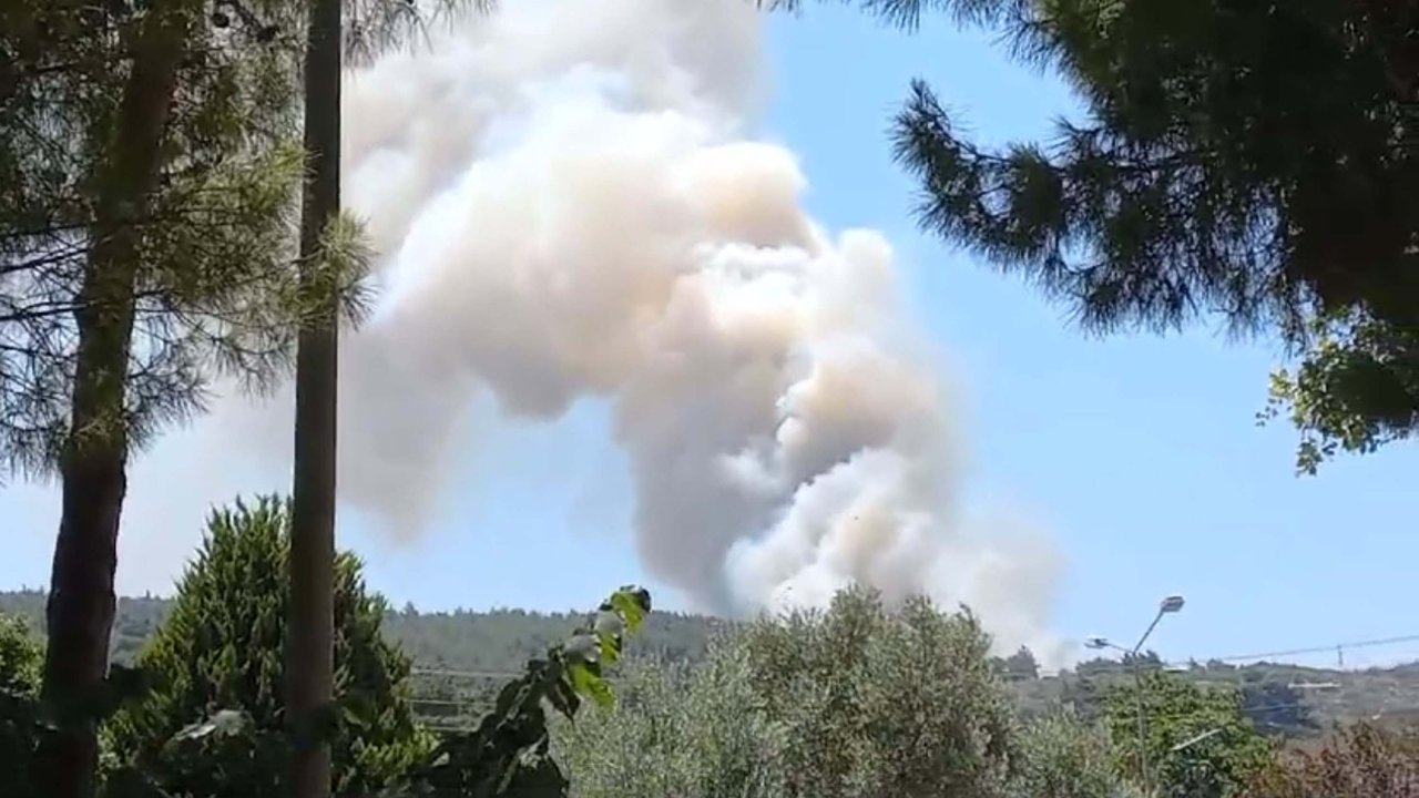 İzmir Menderes'te orman yangını çıktı