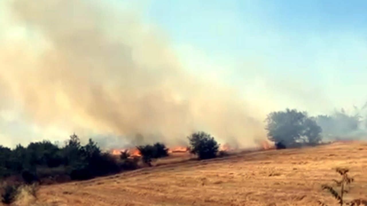 Edirne Uzunköprü'de orman yangını