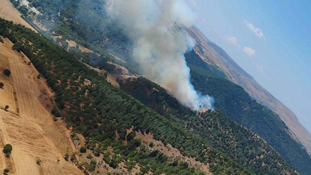 Balıkesir'de orman yangını!
