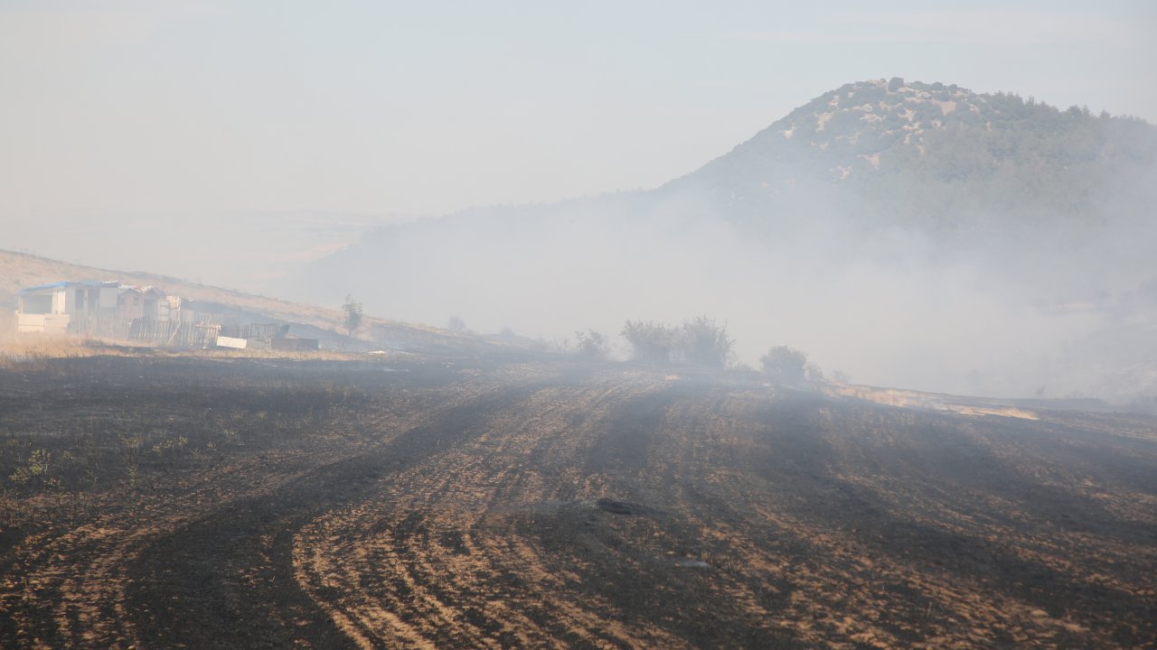 Edirne'de yerleşim yerlerine yakın tarlada yangın: Onlarca dönüm alan zarar gördü