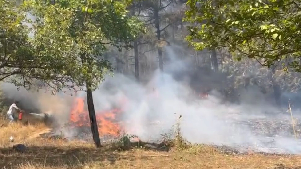 Maltepe'de orman yangını: Havadan ve karadan müdahale edildi