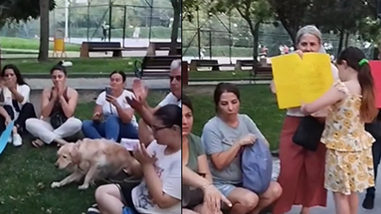 İstanbul Beylikdüzü'nde sokak hayvanlarına 'ötenazi' protestosu