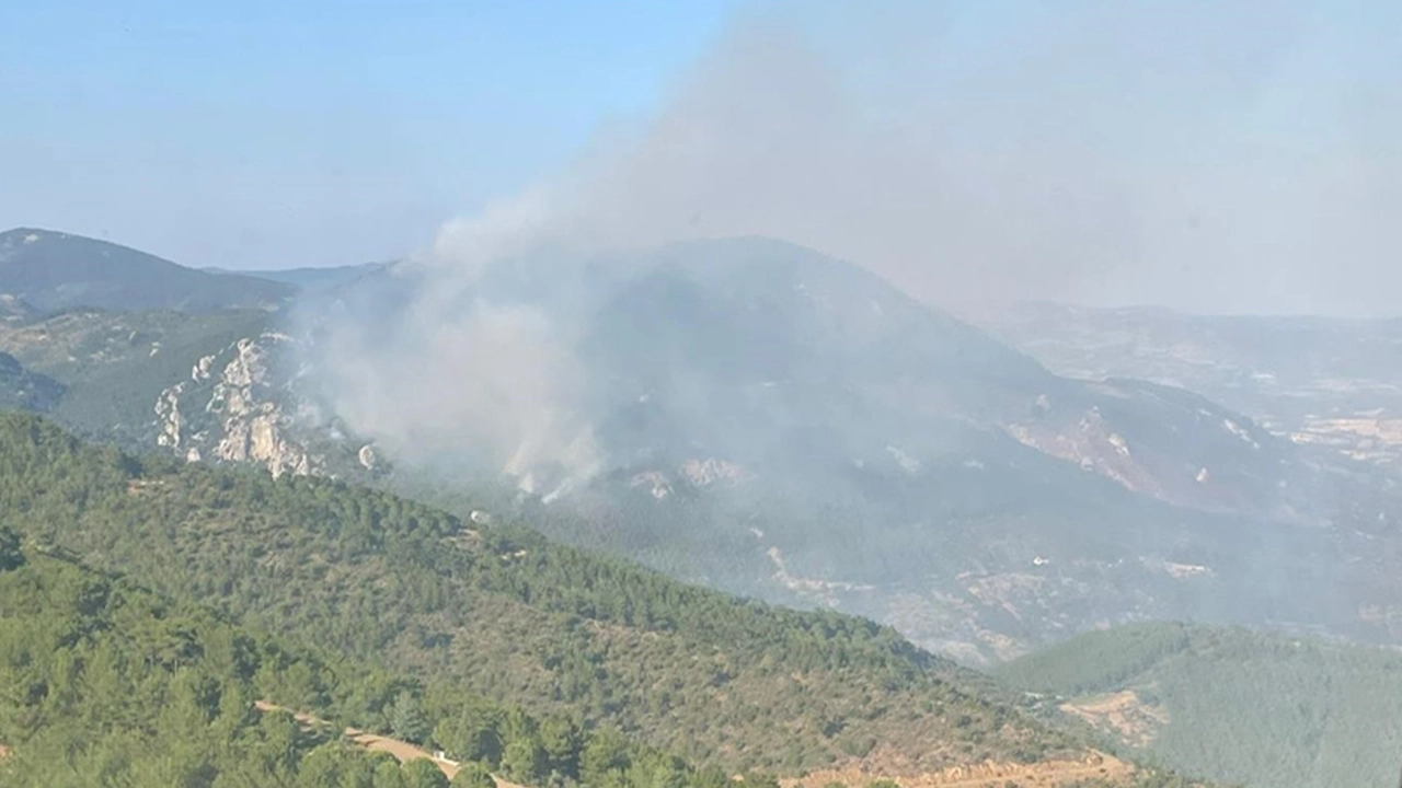 İzmir Bergama'daki orman yangınında 2'nci gün: Ekiplerin müdahalesi sürüyor