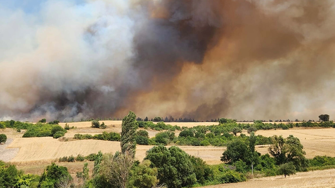 Balıkesir'deki orman yangını 2'nci gününde sürüyor: 3 kişi gözaltına alındı
