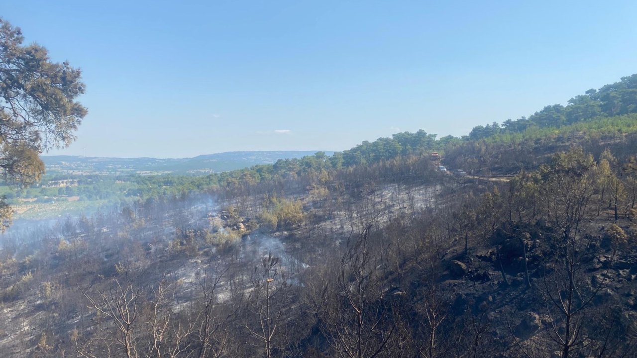 Çanakkale'deki orman yangını 2'nci günde de sürüyor: Alevlere havadan ve karadan müdahale
