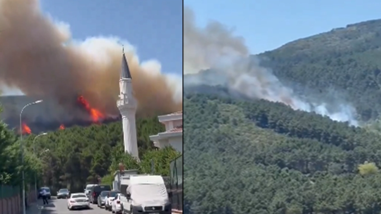 İstanbul'da orman yangını: Dumanlar birçok ilçeden görüldü, müdahale sürüyor