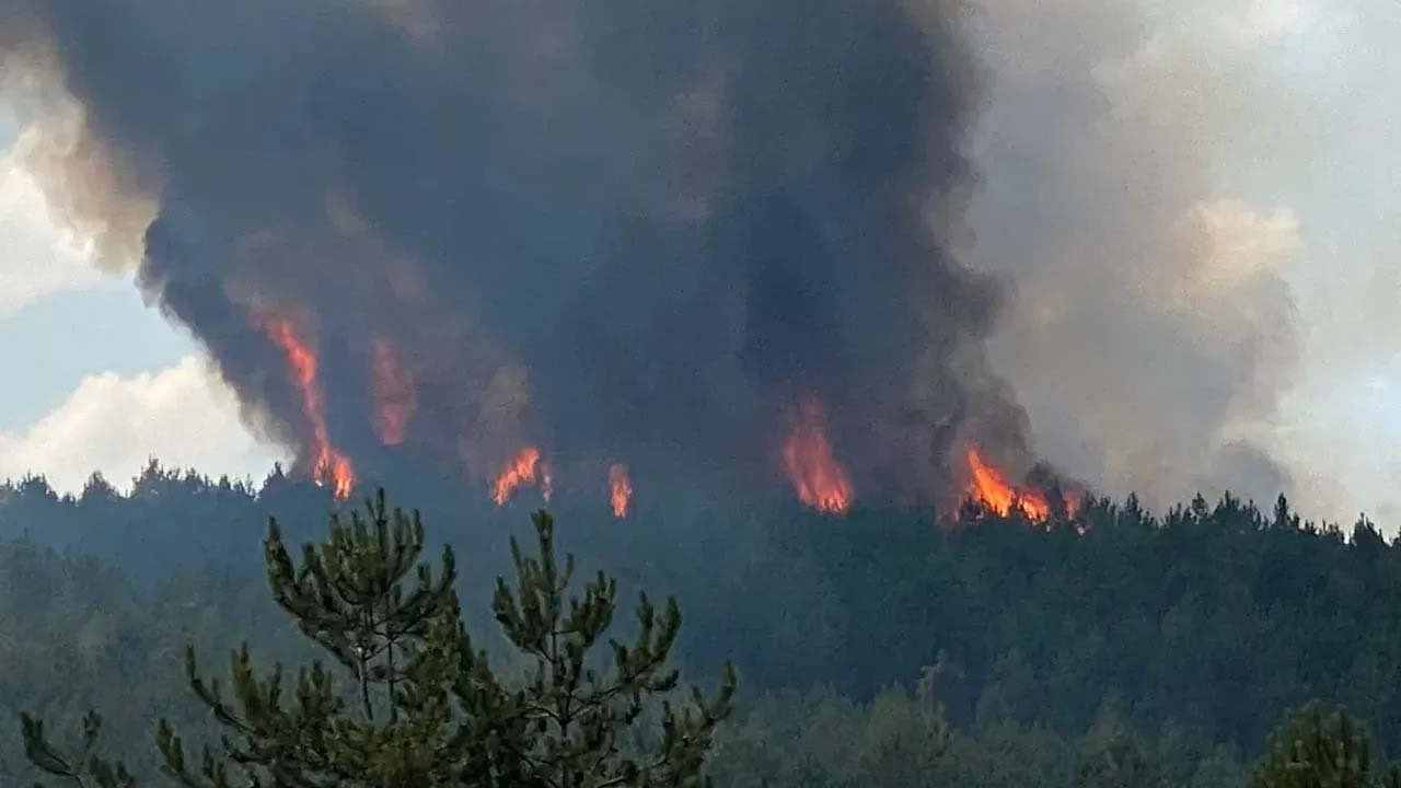 Orman yangınları ısınmayı artırıyor, küresel ısınma yangın süresini uzatıyor!