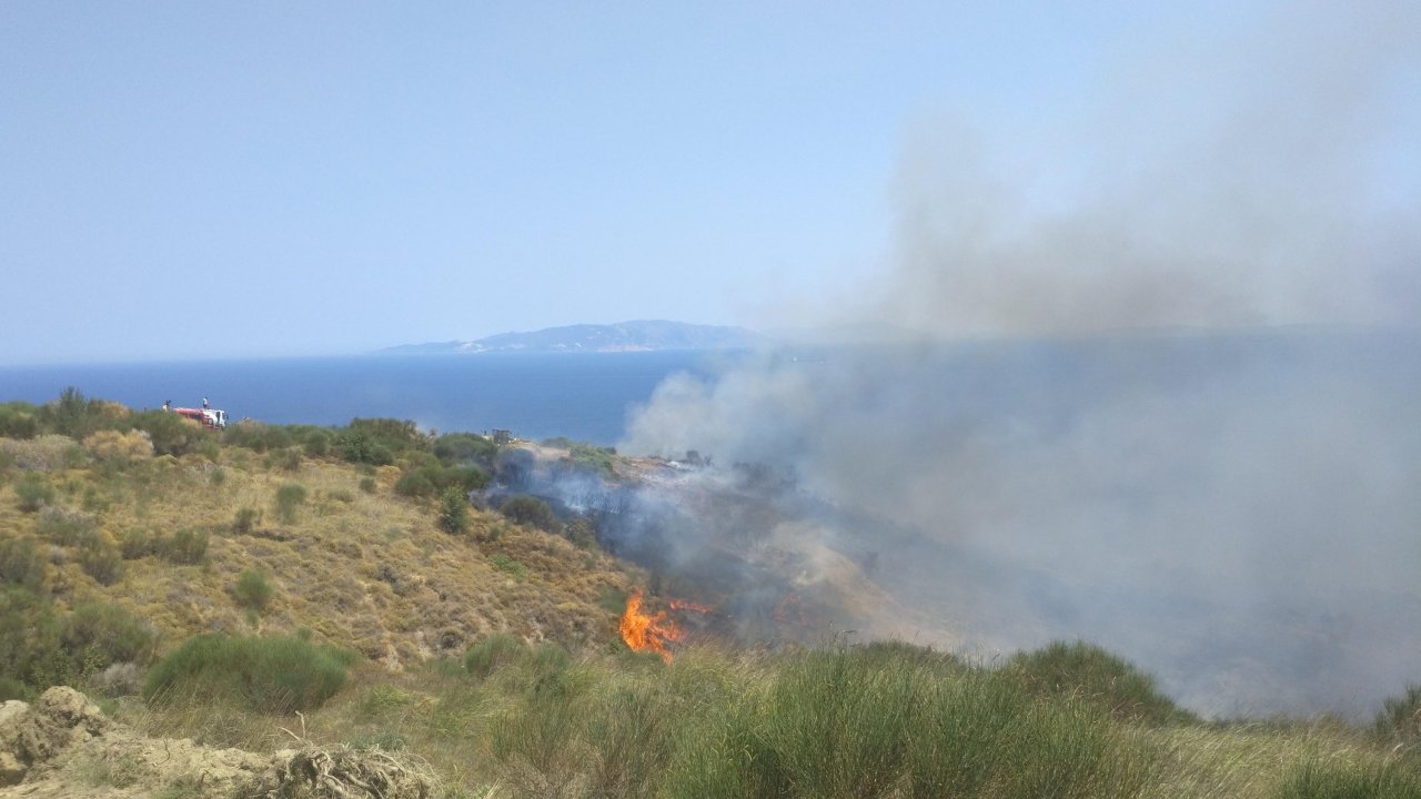 Şarköy'de çıkan yangında 35 dönüm zeytinlik ile 600 dönüm tarım alanı zarar gördü