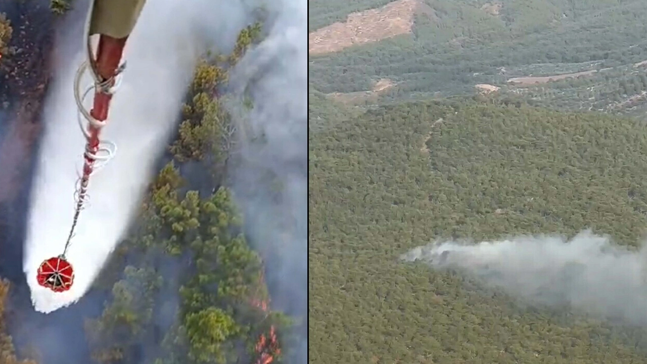 Balıkesir'de orman yangını: Havadan ve karadan müdahale ediliyor