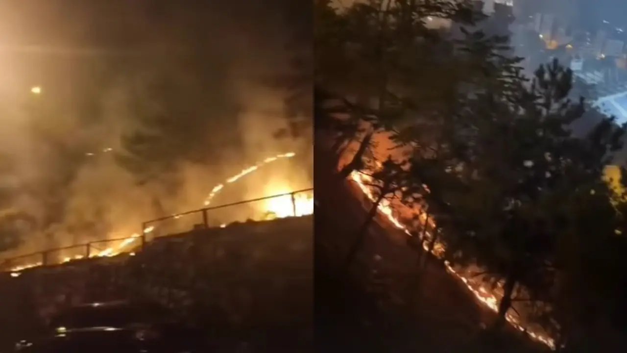 Kasımpaşa'daki ağaçlık alanda yangın çıktı! Alevler hızla büyüdü