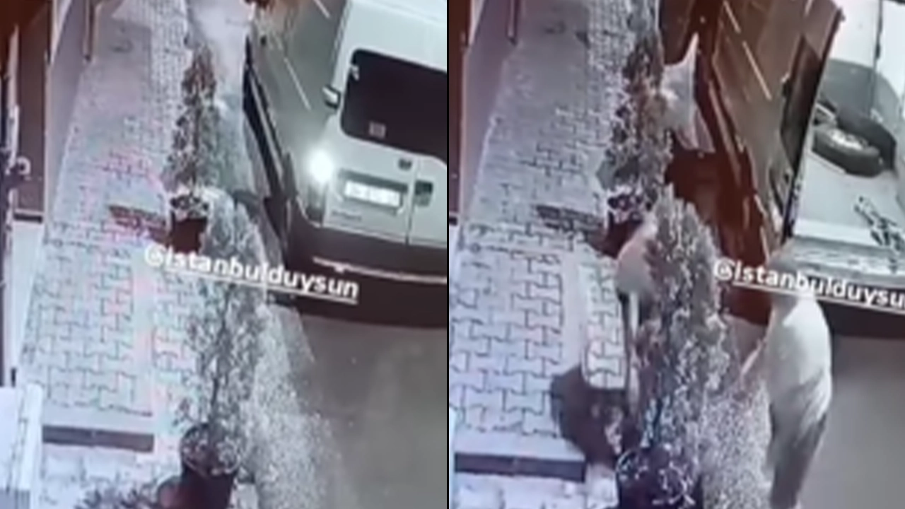 İstanbul'da çiçek hırsızlığı: O anlar kamerada
