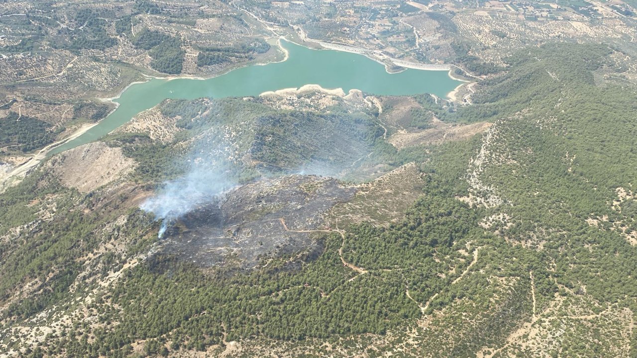 Muğla'daki orman yangını kontrol altına alındı: 5 hektar alan kül oldu