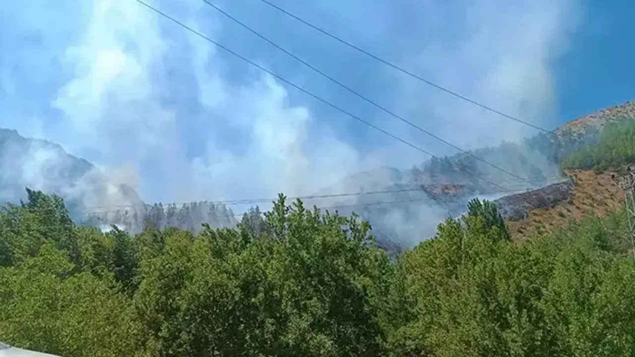 Son dakika! Kahramanmaraş’ta orman yangını çıktı