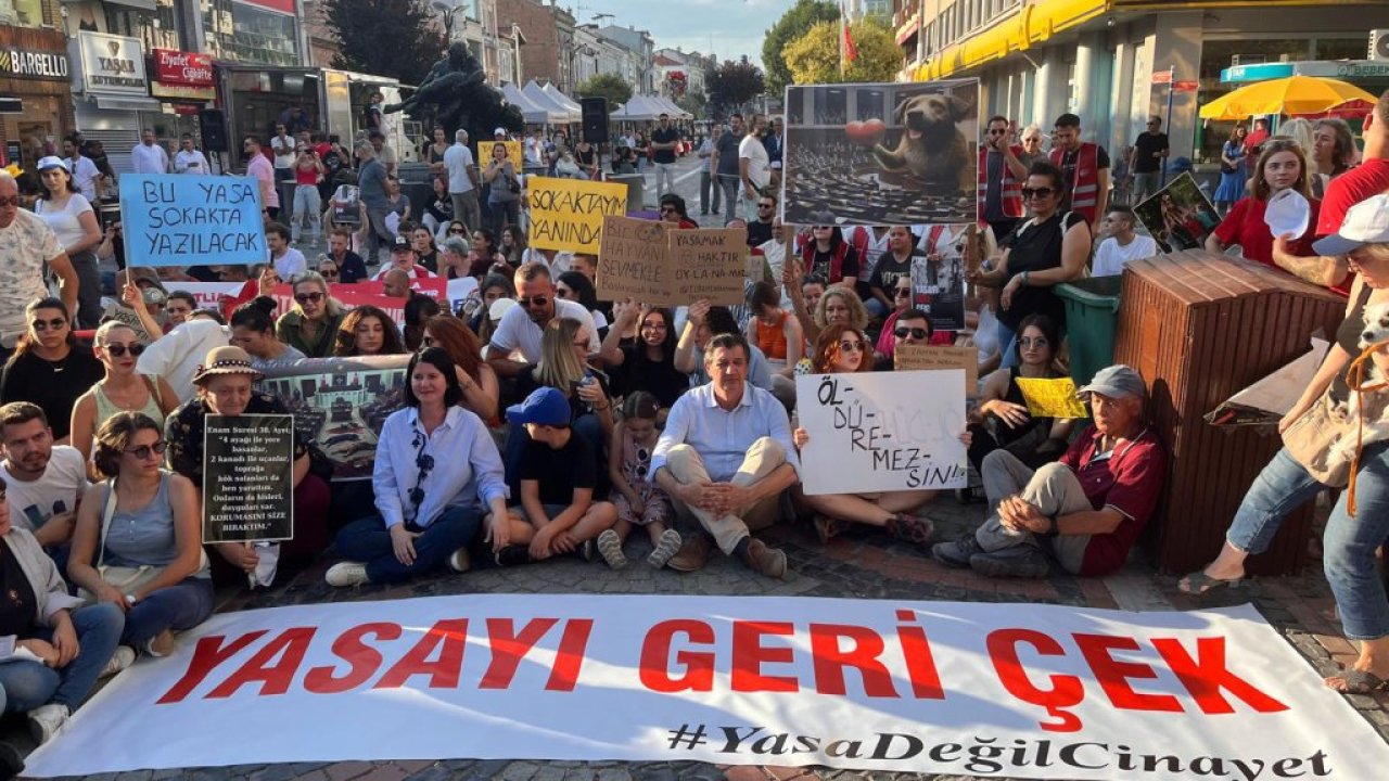 Edirne'de hayvanseverler yürüyüş ve oturma eylemi düzenledi