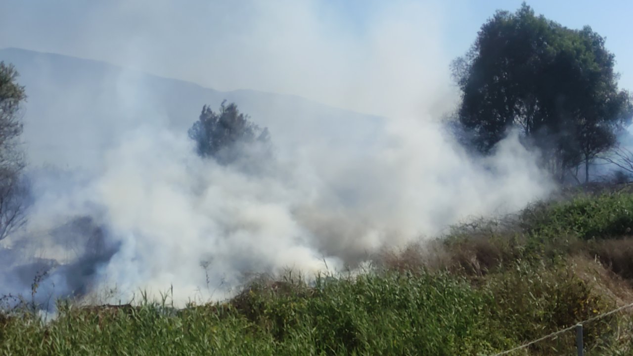 İznik Gölü kıyısında sazlık yangını: Alevlere müdahale ediliyor