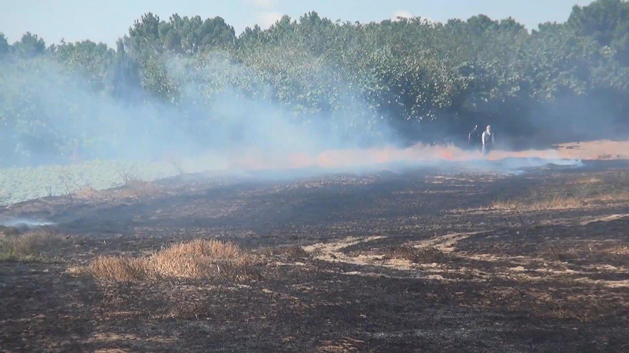 Silivri İtfaiyesinden 2 haftada 271 anız ve orman yangınına müdahale