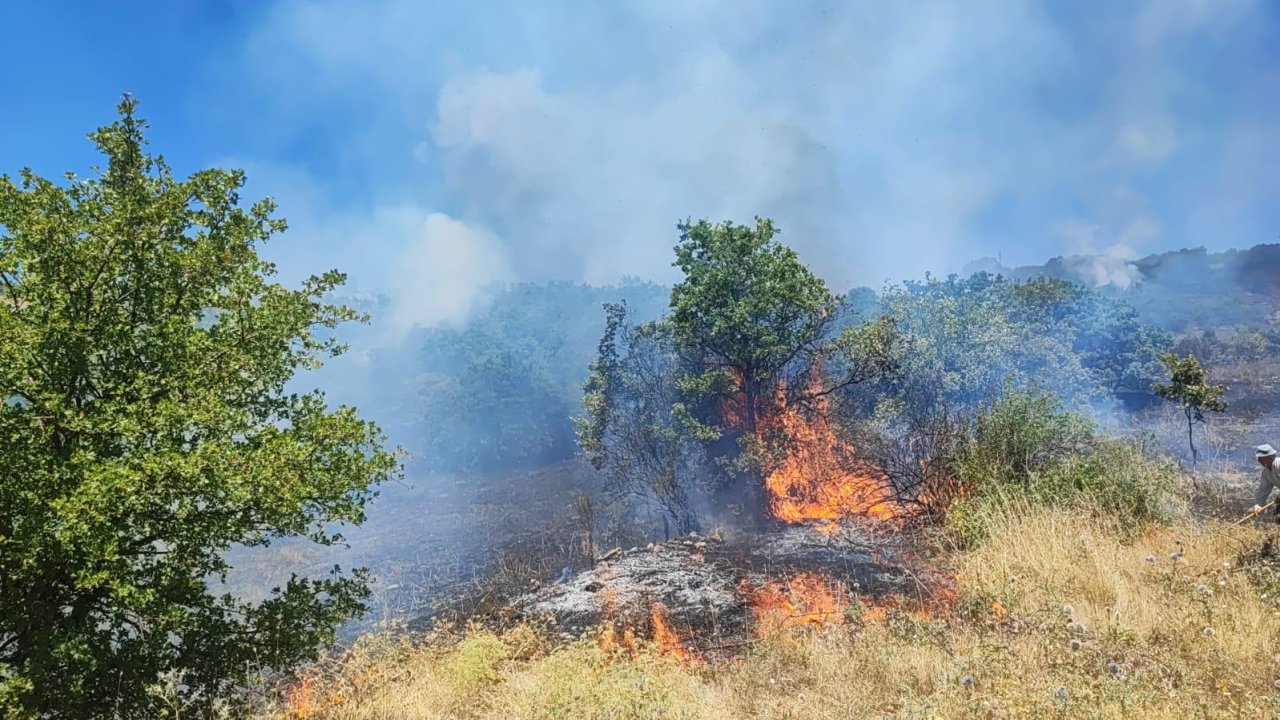 Bingöl’de 2 ilçede örtü yangını: Ekiplerin müdahalesi sürüyor