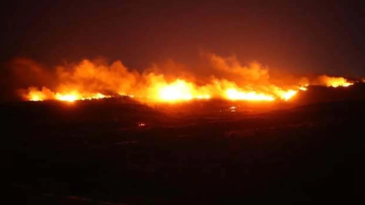 Urla'da orman yangını: Saatler sonra kontrol altına alındı